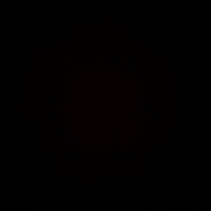 Meet your Posher, Lucy